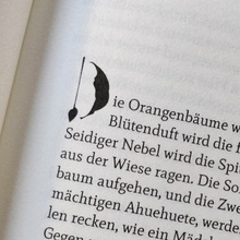 <cite>Im Garten werden sie träumen</cite> / <cite>Soñaran en el jardín</cite> by Gabriela Damián Miravete