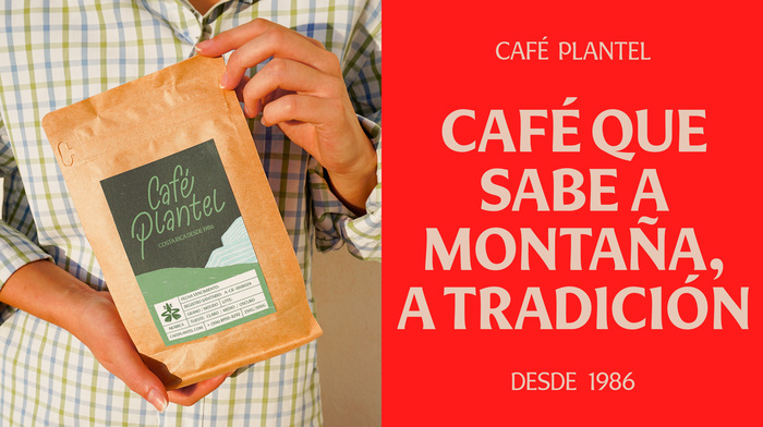 Café Plantel 8
