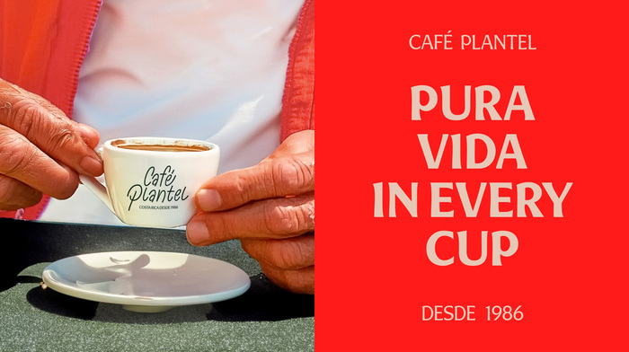 Café Plantel 6