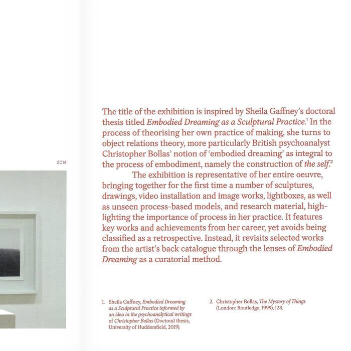 Sheila Gaffney – Embodied Dreaming exhibition catalog 7