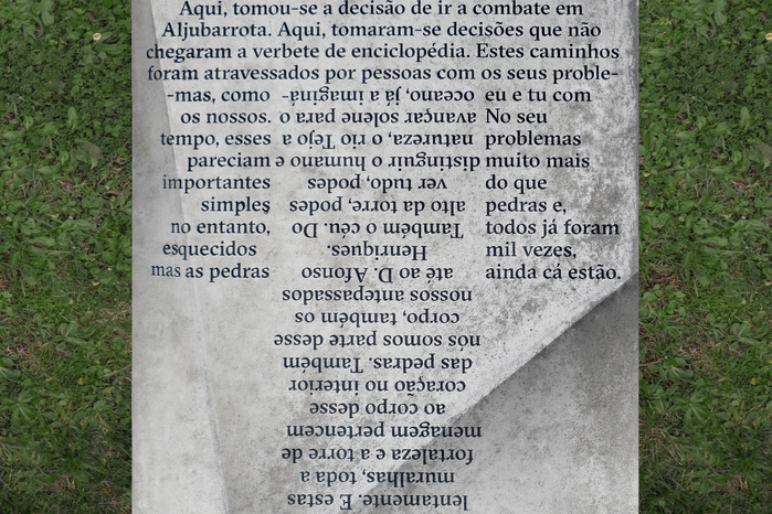 Caminhos literários 7