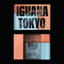 <cite>Iguana Tokyo</cite> promotional catalog
