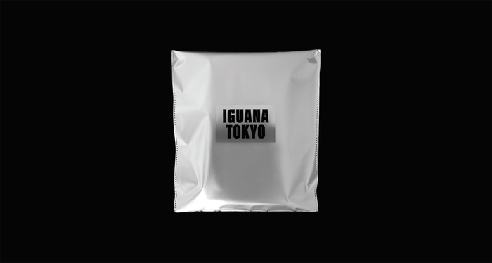 Iguana Tokyo promotional catalog 3