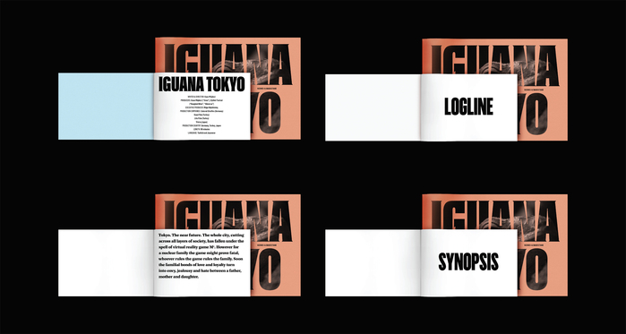 Iguana Tokyo promotional catalog 5
