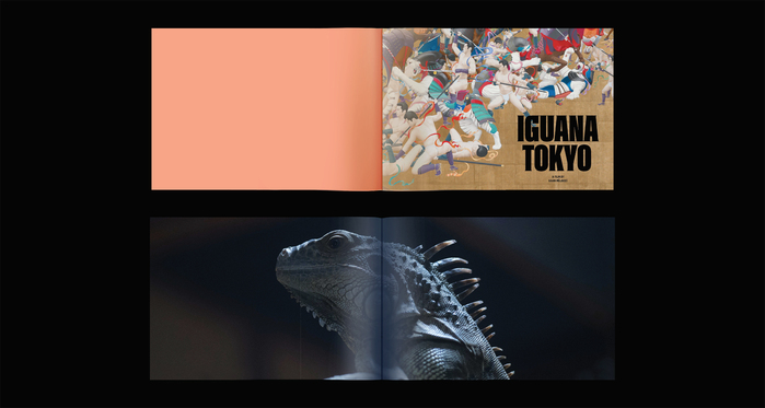 Iguana Tokyo promotional catalog 7