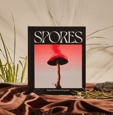 <cite>Spores. Magical Mushroom Photography</cite>