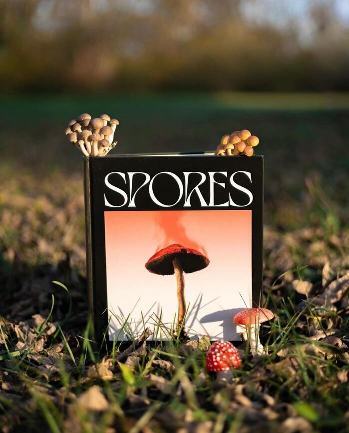 Spores. Magical Mushroom Photography 6