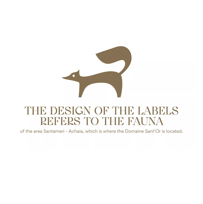  is used for the design studio’s presentation, but is not part of the winery’s identity.