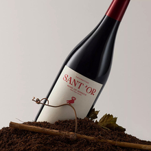 Sant’Or wines
