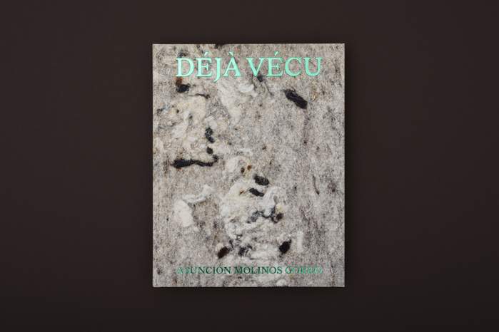 Asunción Molinos Gordo – Déjà Vécu / Already Lived exhibition catalog 1