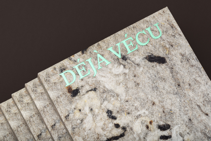 Asunción Molinos Gordo – Déjà Vécu / Already Lived exhibition catalog 2