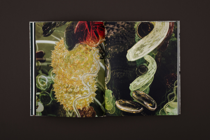 Asunción Molinos Gordo – Déjà Vécu / Already Lived exhibition catalog 9
