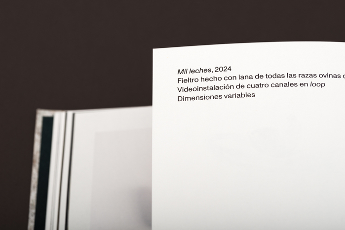 Asunción Molinos Gordo – Déjà Vécu / Already Lived exhibition catalog 8