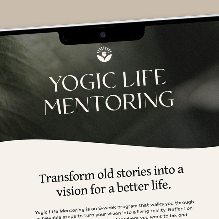 Omchemy visual identity 2