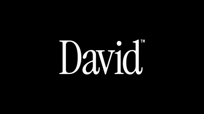 David protein bars 1