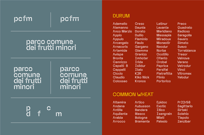 Parco Comune dei Frutti Minori 2