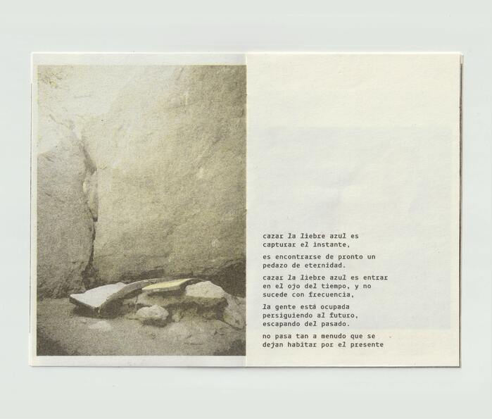 Cazar la liebre azul zine 3