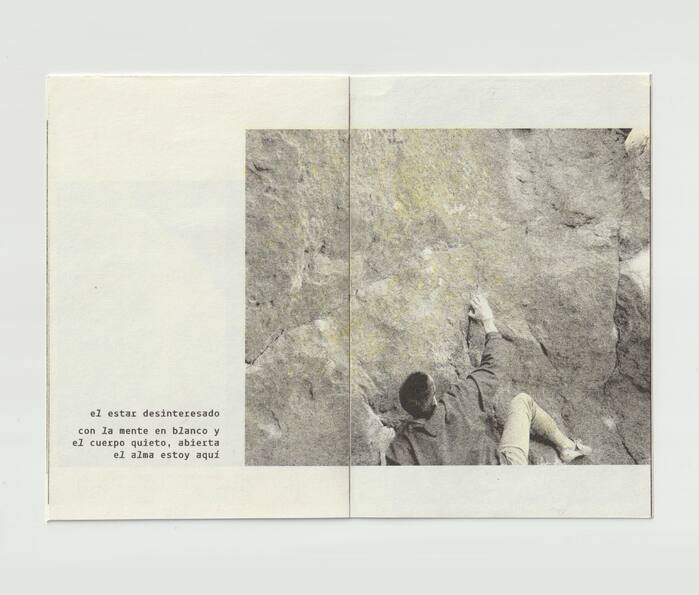 Cazar la liebre azul zine 5