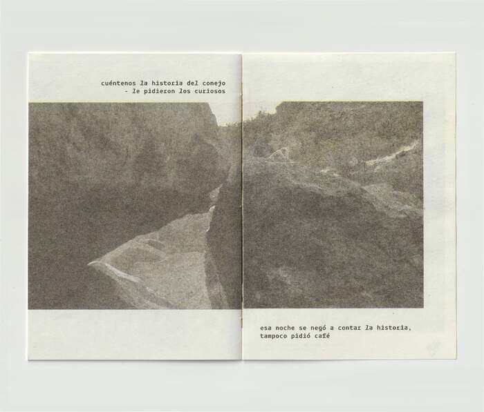 Cazar la liebre azul zine 6