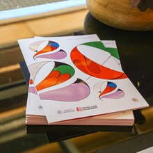 Montpellier Management – <cite>2022 Rapport d’Activité</cite>