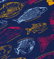 “Cardume” graphics for <span>Instituto Guaicuy</span>
