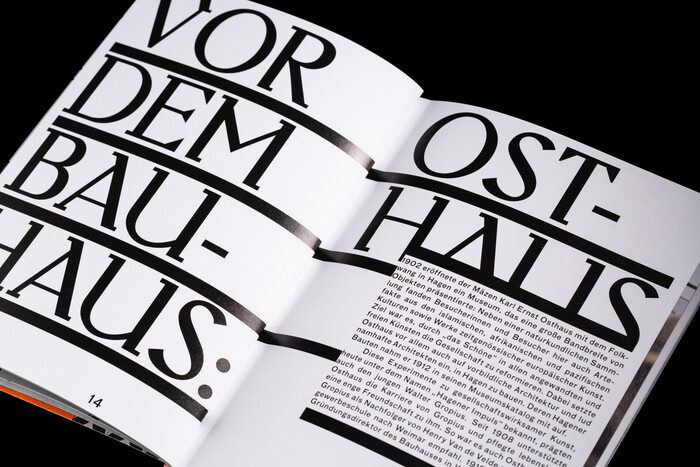 Vor dem Bauhaus: Osthaus by Laura Di Betta, Christin Ruppio, Barbara Welzel 5