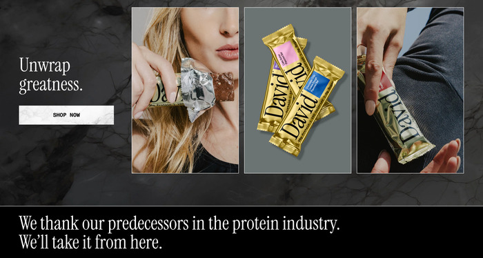 David protein bars 8