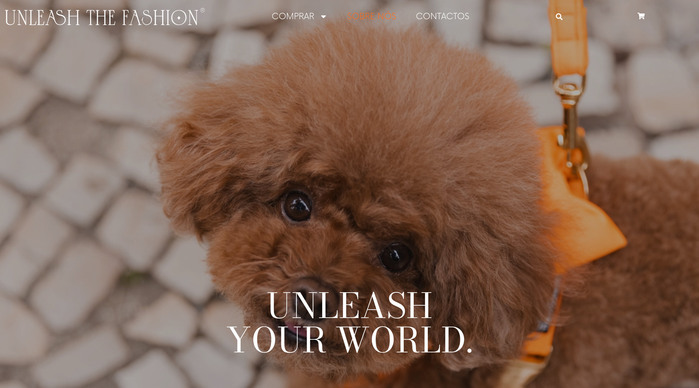Unleash the Fashion 3