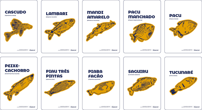The cardume (school of fish) is comprised of various native fish species which are depicted with the Portuguese and Latin names.