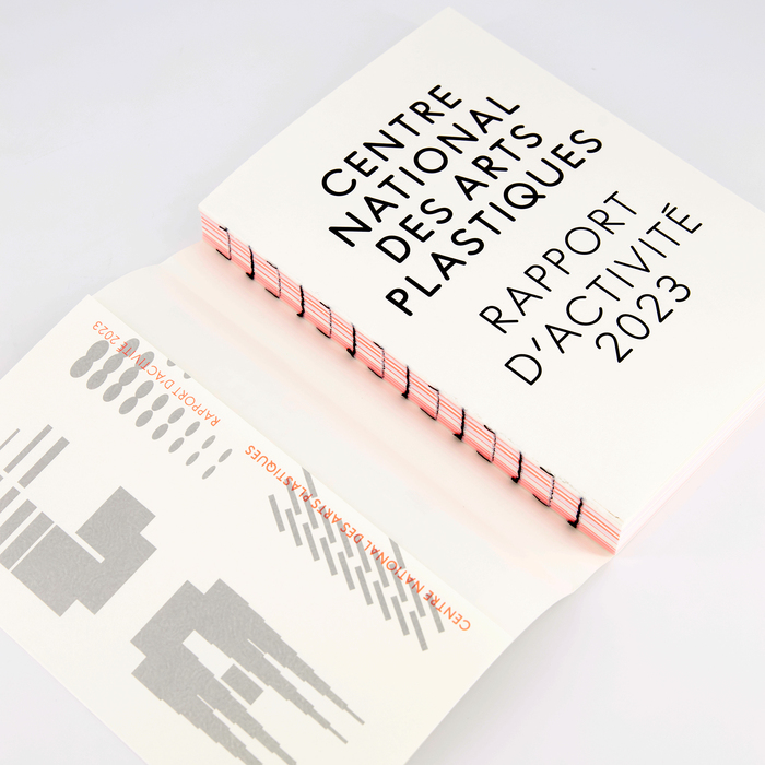 Cnap 2023 report 2