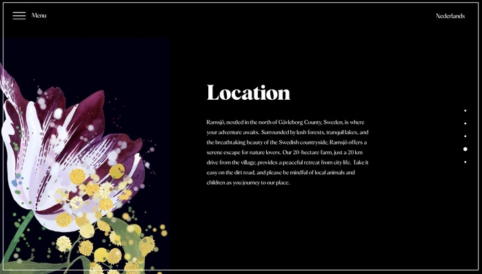 Norrlands wedding website 5