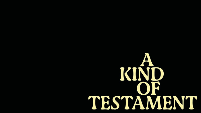 A Kind of Testament by Stephen Vuillemin 2