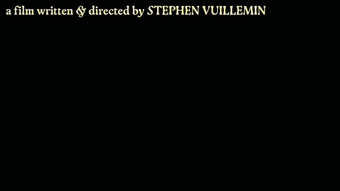 A Kind of Testament by Stephen Vuillemin 3