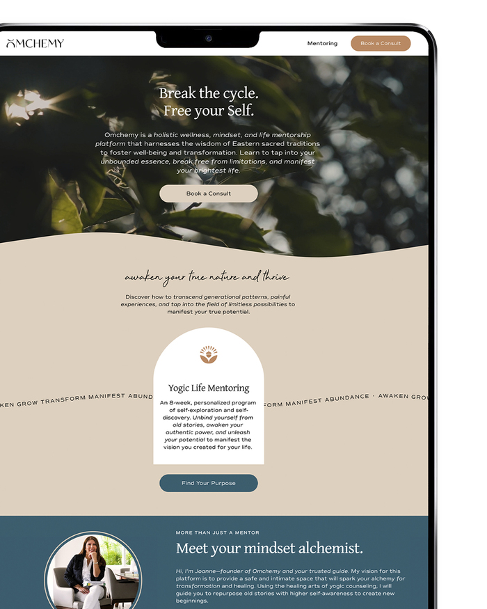 Omchemy visual identity 8