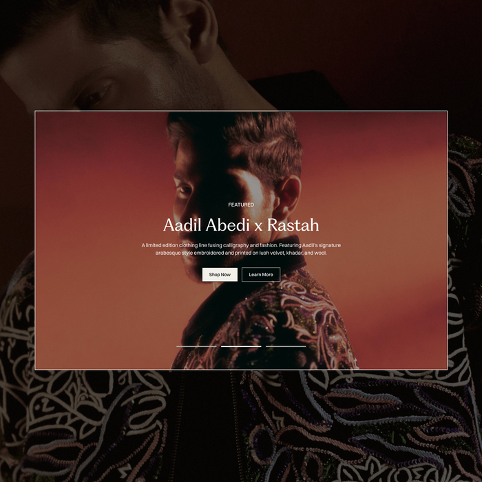 Aadil Abedi website 4