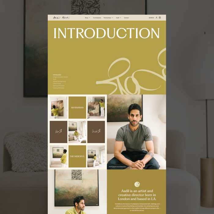 Aadil Abedi website 2