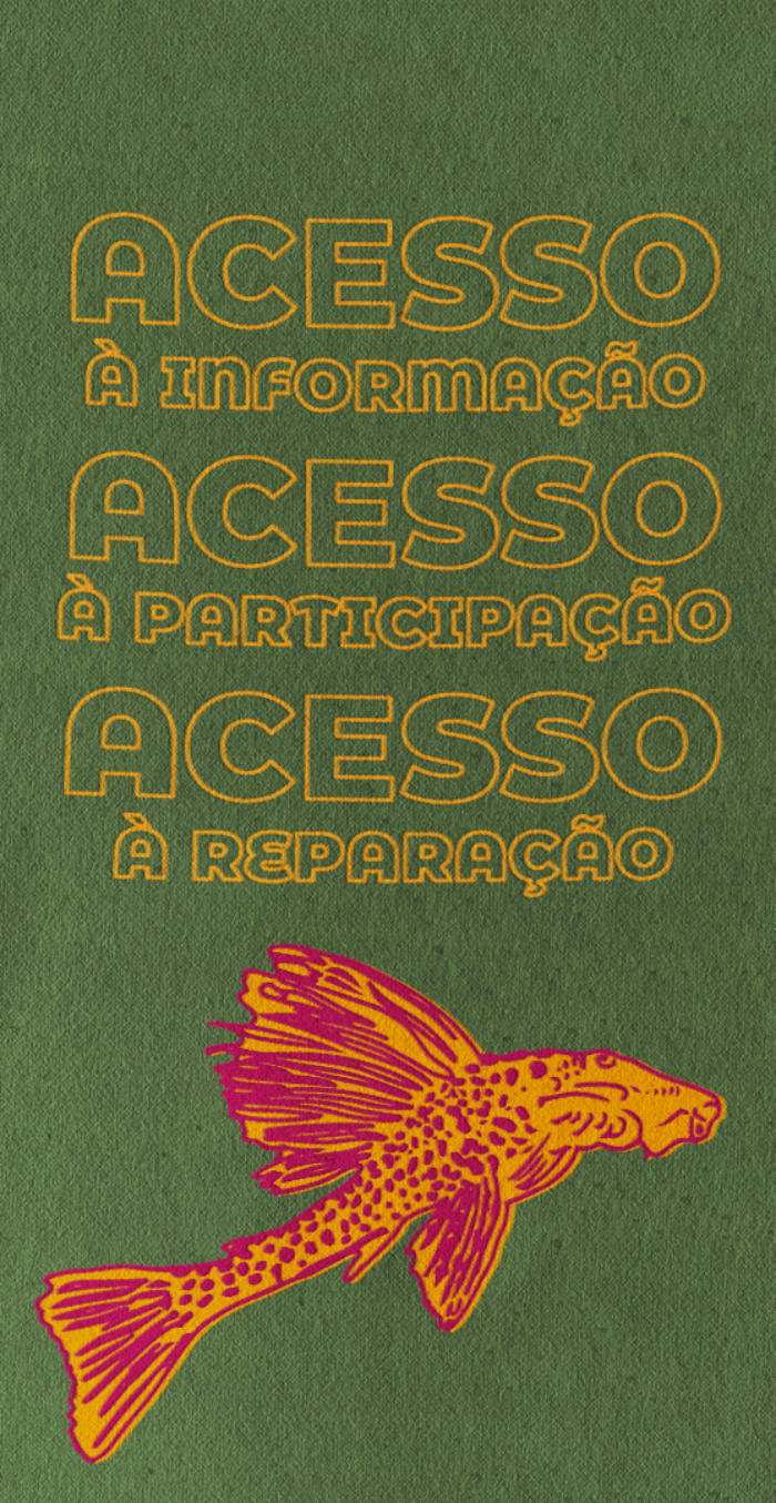 “Access to information, access to participation, access to reparations”