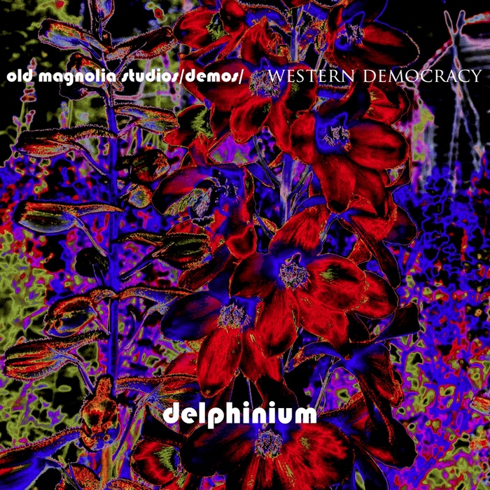 “delphinium”, September 2024