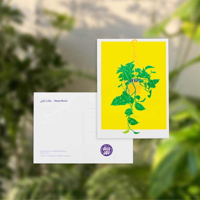 A Simple Guide: House Plants 5