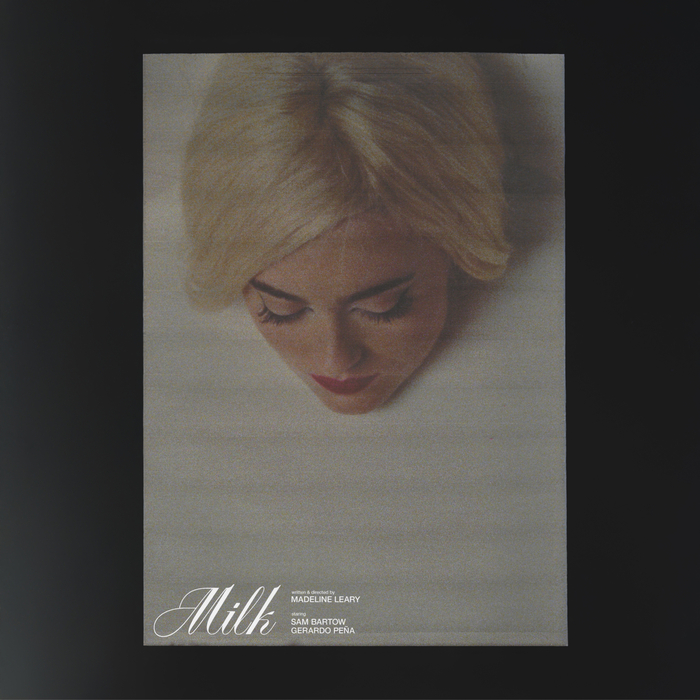 Milk movie title and poster 1