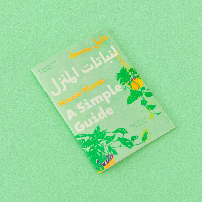 A Simple Guide: House Plants 1
