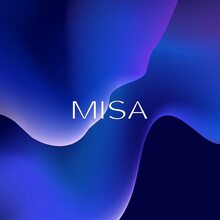 MISA logo and identity