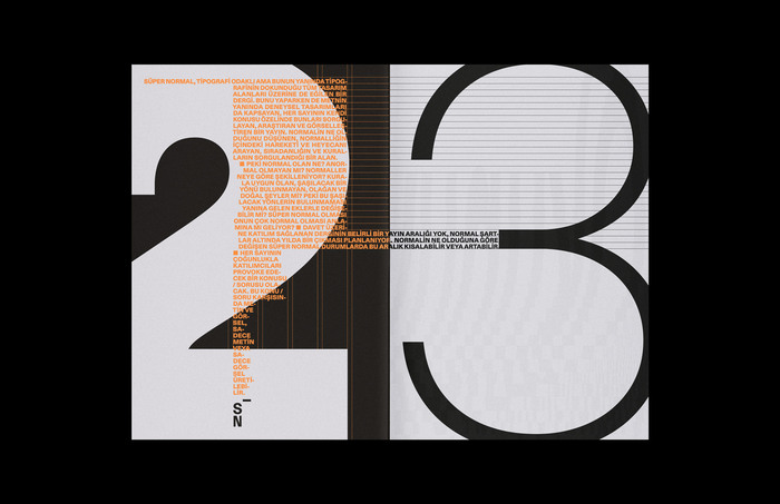 SÜPER NORMAL #01, “Okunuyor mu?” issue 4