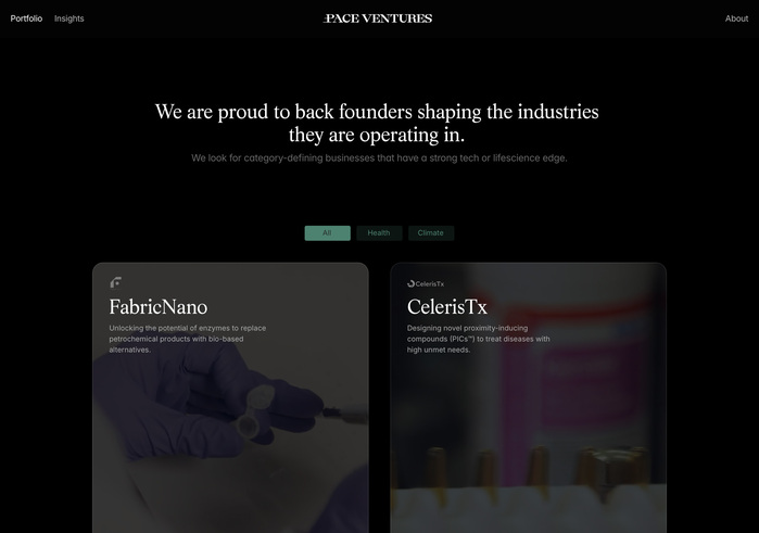 Pace Ventures website 2