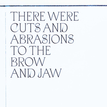 <cite>There Were Cuts and Abrasions to the Brow and Jaw</cite>