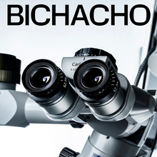 Bichacho