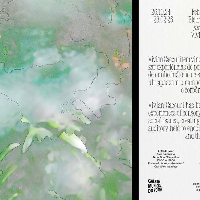Vivian Caccuri – Electric Jungle Fever / Febre da Selva Elétrica 4