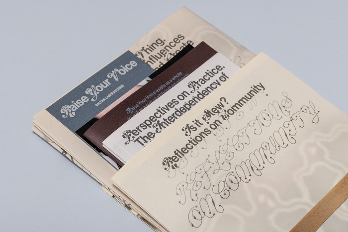 Raise Your Voice zine 1