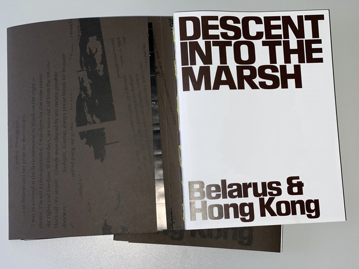 Descent into the Marsh 1