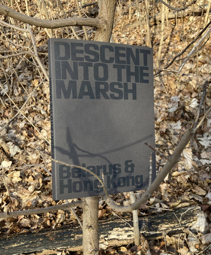 Descent into the Marsh 2